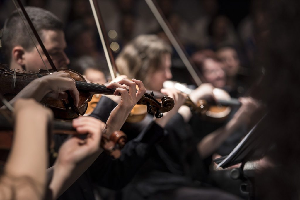 Orchestra, Team, Gioel